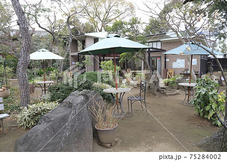 杜のアトリエ‿黎明(れいめい) 千葉県流山市 杜のアトリエ‿黎明(れいめい) 千葉県流山市 75284002