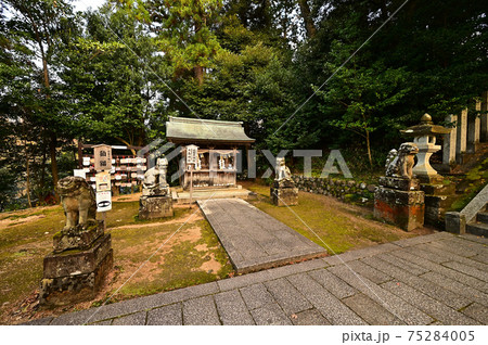 金刀比羅神社より 金刀比羅神社より 75284005