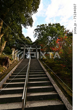 金刀比羅神社より 75284007