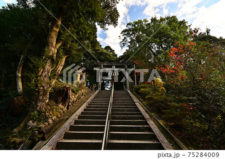 金刀比羅神社より 75284009