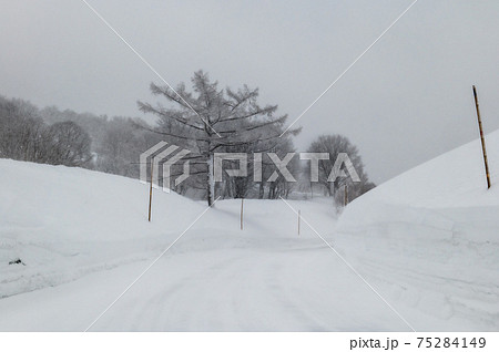 雪の世界　酸ヶ湯　 75284149