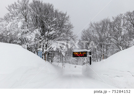 雪の世界　酸ヶ湯　 75284152