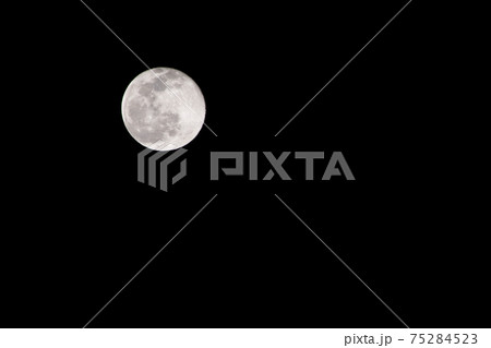 満月／Wolf Moon 75284523