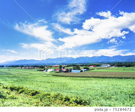 北海道　十勝清水町　農場と日高山脈 75284672
