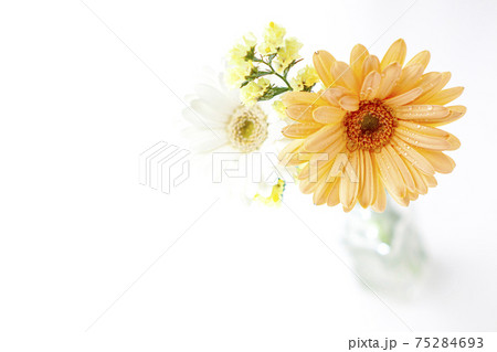 キュートな3色の花束素材 75284693