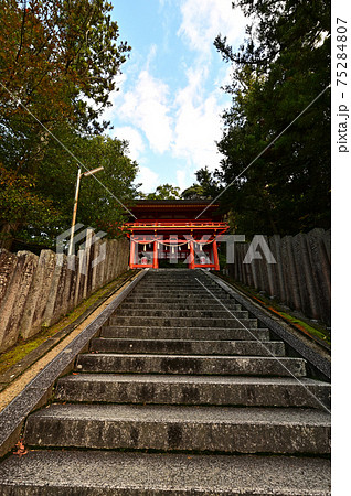金刀比羅神社より 75284807