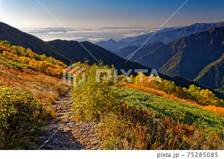 北アルプス・柏原新道から見る雲海の山並み 北アルプス・柏原新道から見る雲海の山並み 75285085