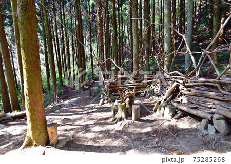 六甲山系八幡谷休憩所 六甲山系八幡谷休憩所 75285268