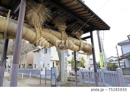 赤城神社　大しめ縄　千葉県流山市流山　　　 75285930