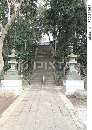 赤城神社 本殿に上がる階段 千葉県流山市流山 赤城神社 本殿に上がる階段 千葉県流山市流山 75285967