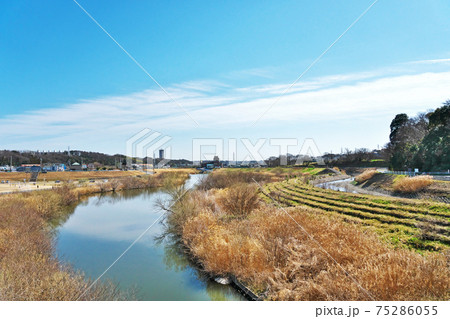鷺舞橋から見た原宿方面 75286055