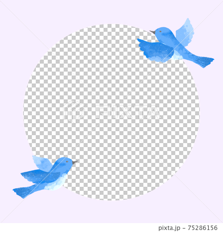 Blue bird frame with a gentle touch 75286156
