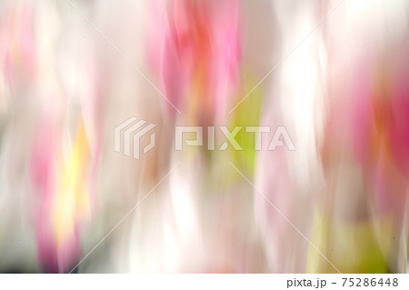 カラフルな花のイメージ 75286448