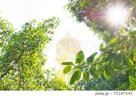 タイ国バンコクの観光地、寺院「ワット・パクナム」の巨大仏像 75287345