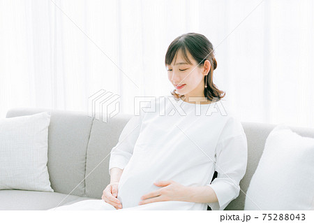 妊婦さん 妊婦さん 75288043