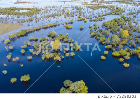 Scenic aerial view of high water in spring time 75288203