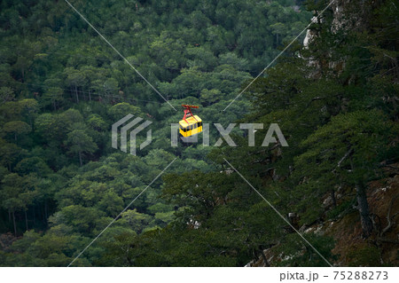 cabin of the aerial tram moves over wooded mountain slopes 75288273