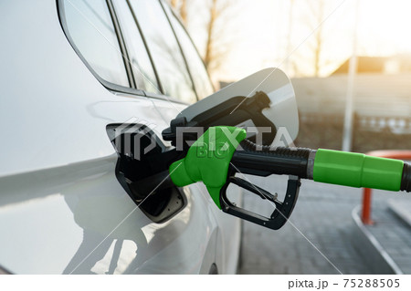 Car with biofuel 75288505
