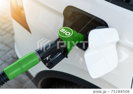 Car with biofuel 75288506