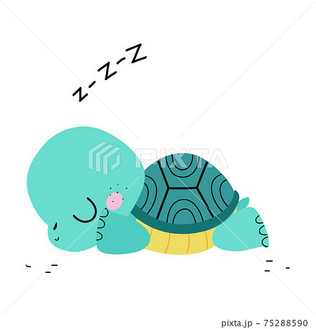 Cute Turtle With Shell And Short Feet Sleeping のイラスト素材