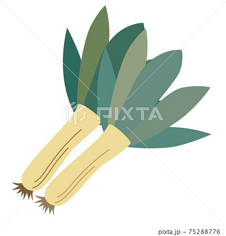 下仁田ネギ　野菜 75288776