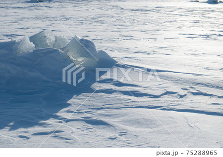 糠平湖　冬だけの芸術 75288965