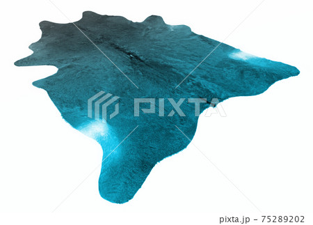 Isolated picture of a dyed cow skin on a white background 75289202