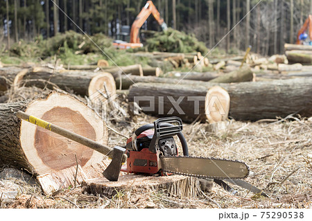 林業　山を切り開くイメージ 75290538