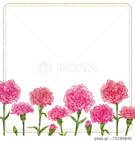 カーネーションのおしゃれなフレーム素材 花の水彩風手描きイラストのイラスト素材