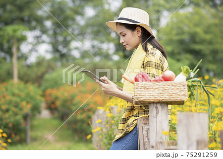 High-tech agriculture 75291259