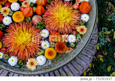 行田八幡神社の美しい花手水 75291937