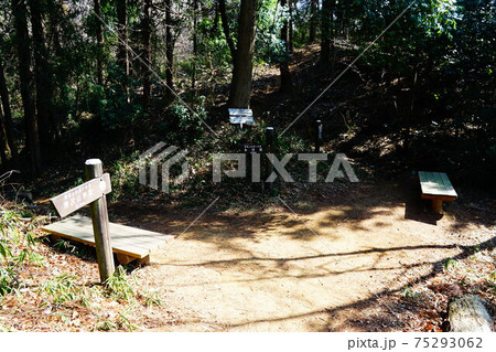 栃木 諏訪岳 京路戸峠 栃木 諏訪岳 京路戸峠 75293062