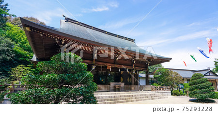 春の青空を背景に、はためく鯉のぼり(喜多見氷川神社) 春の青空を背景に、はためく鯉のぼり(喜多見氷川神社) 75293228