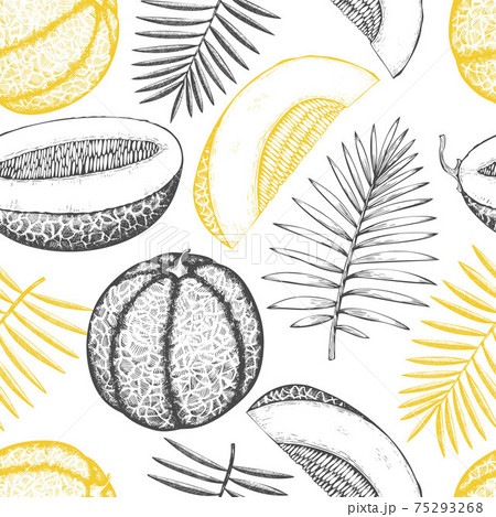 Melons with tropical leaves seamless pattern. Hand drawn vector exotic fruit illustration. Retro style fruit background. 75293268