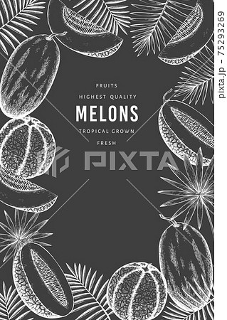Melons with tropical leaves design template. Hand drawn vector exotic fruit illustration on chalk board. Retro style fruit banner. 75293269