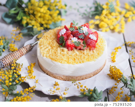 ミモザの日 ミモザ風ケーキ ミモザの日 ミモザ風ケーキ 75293520