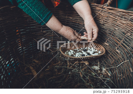White beans on a dark background in a wooden wicker basket. 75293918