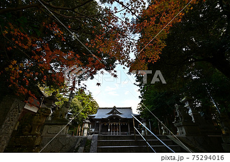 金刀比羅神社より 75294016