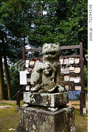 金刀比羅神社より 金刀比羅神社より 75294148