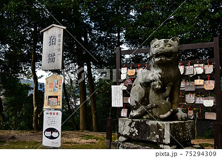金刀比羅神社より 75294309