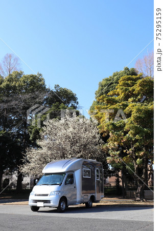 キャンピングカーと梅の木　春 75295159