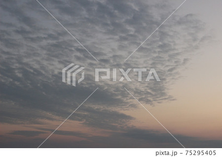 瀬戸内海のヒツジ雲と海！故郷の夕暮れマジックアワーの美しい風景! 75295405