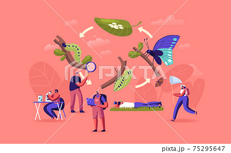 Entomology Hobby or Professional Occupation. Entomologists Scientists or Amateurs Characters Create Insect Collection Entomology Hobby or Professional Occupation. Entomologists Scientists or Amateurs Characters Create Insect Collection 75295647