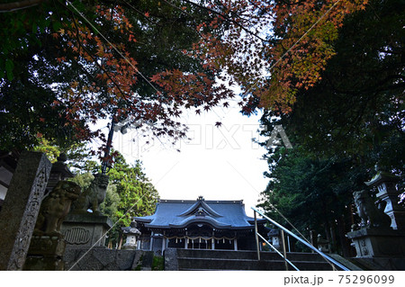 金刀比羅神社より 金刀比羅神社より 75296099