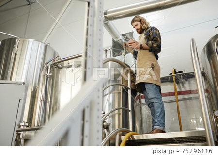 Bearded Man Controlling Production at Beer Making Factory 75296116