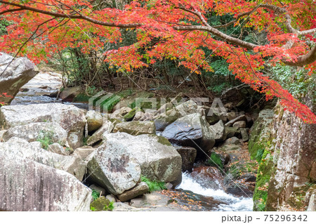 紅葉と渓流 豪渓 岡山県総社市の写真素材