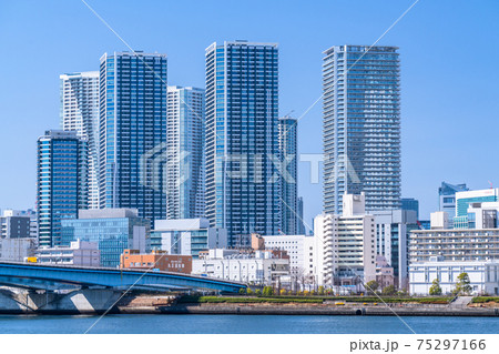 《東京都》晴海・都市風景《東京ベイエリア》 75297166