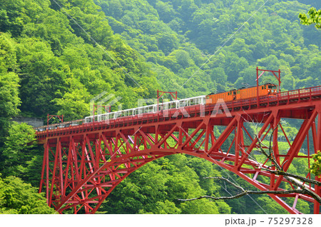 黒部峡谷のトロッコ列車 黒部峡谷のトロッコ列車 75297328