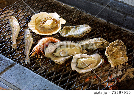 炉端焼き ろばた焼 ろばた焼き 炉端焼き ろばた焼 ろばた焼き 75297919
