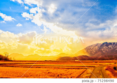 田園を照らす太陽の光 田園を照らす太陽の光 75298490